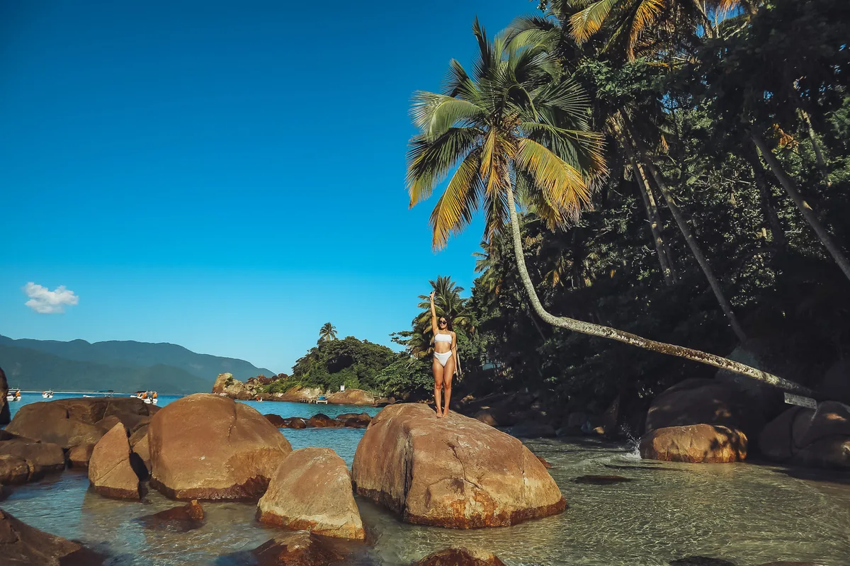 Social Media — br-067.webp