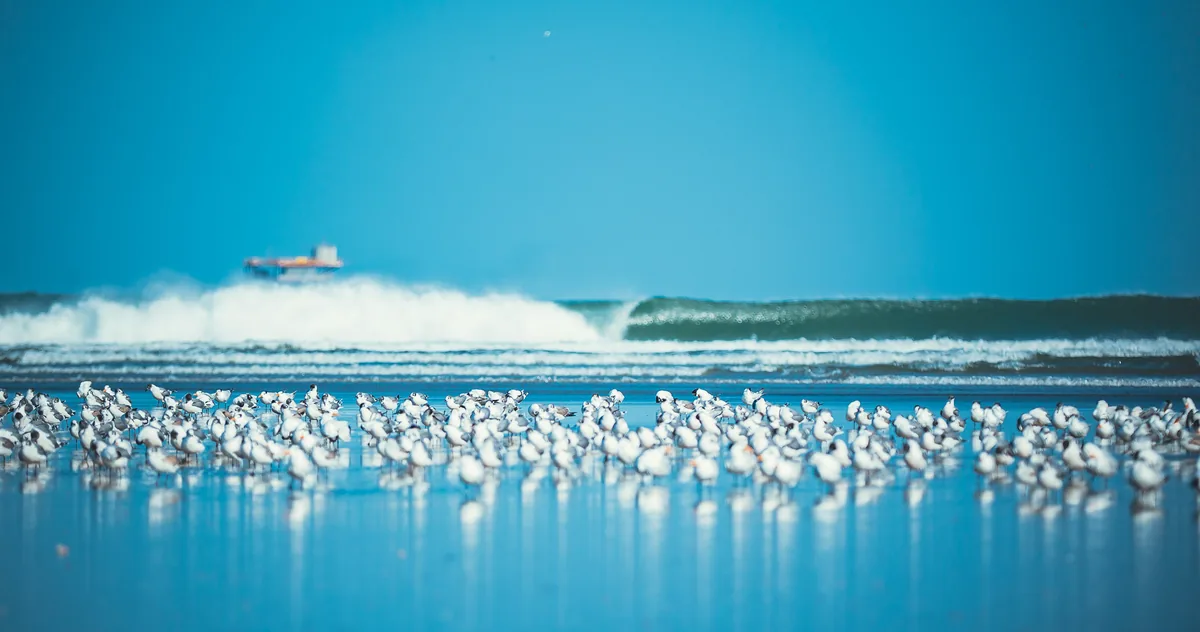 Fashion — br-136.webp